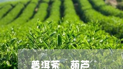 普洱茶 葫芦/2023042843440